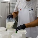 elaboracion cabañil queseria artesana en Salteras