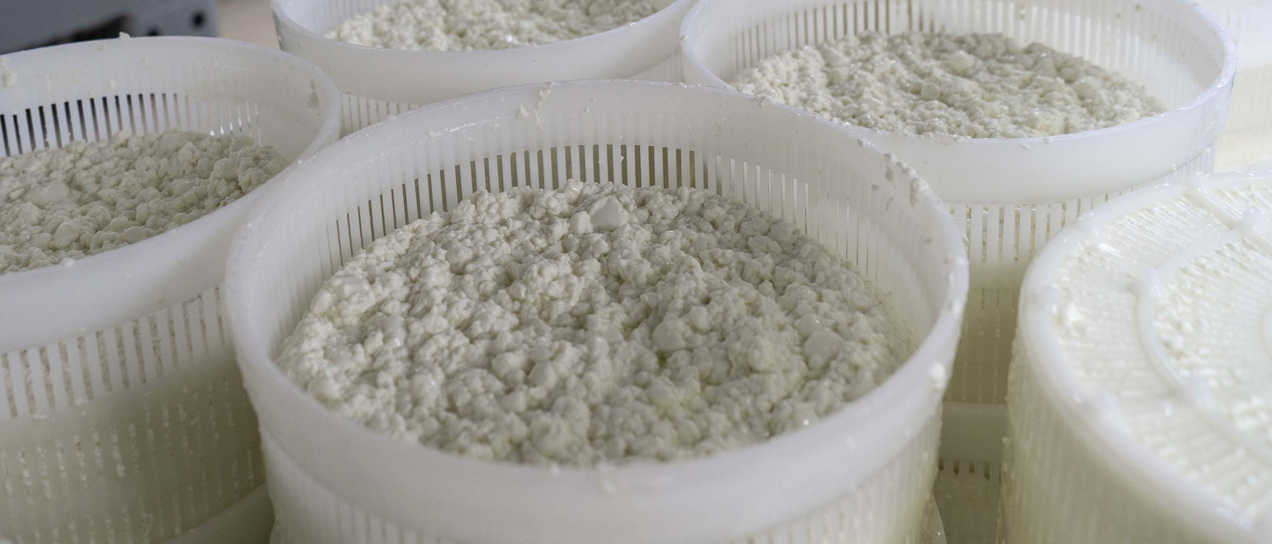 queso fresco cabañil queseria artesana en Salteras